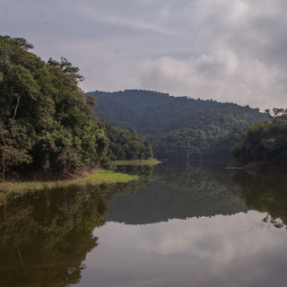 Paisagem do núcleo Engordador, no Parque Estadual da Cantareira, na zona norte de São Paulo