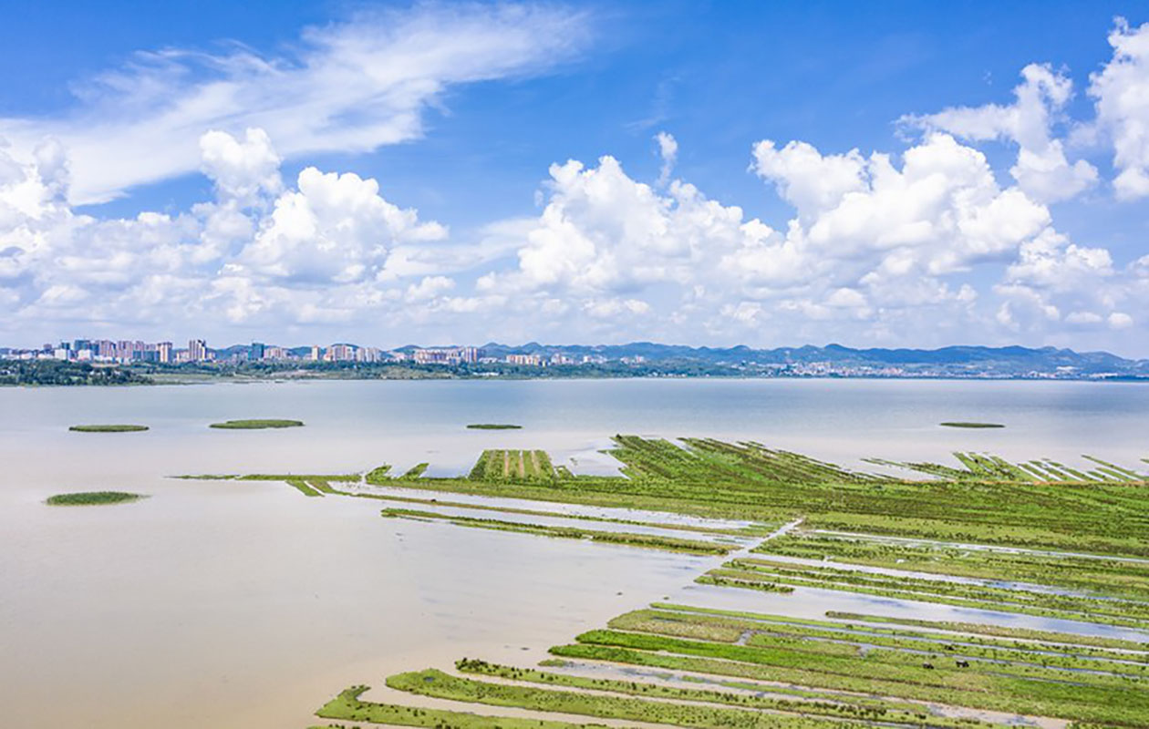 China honra seu compromisso de buscar futuro verde