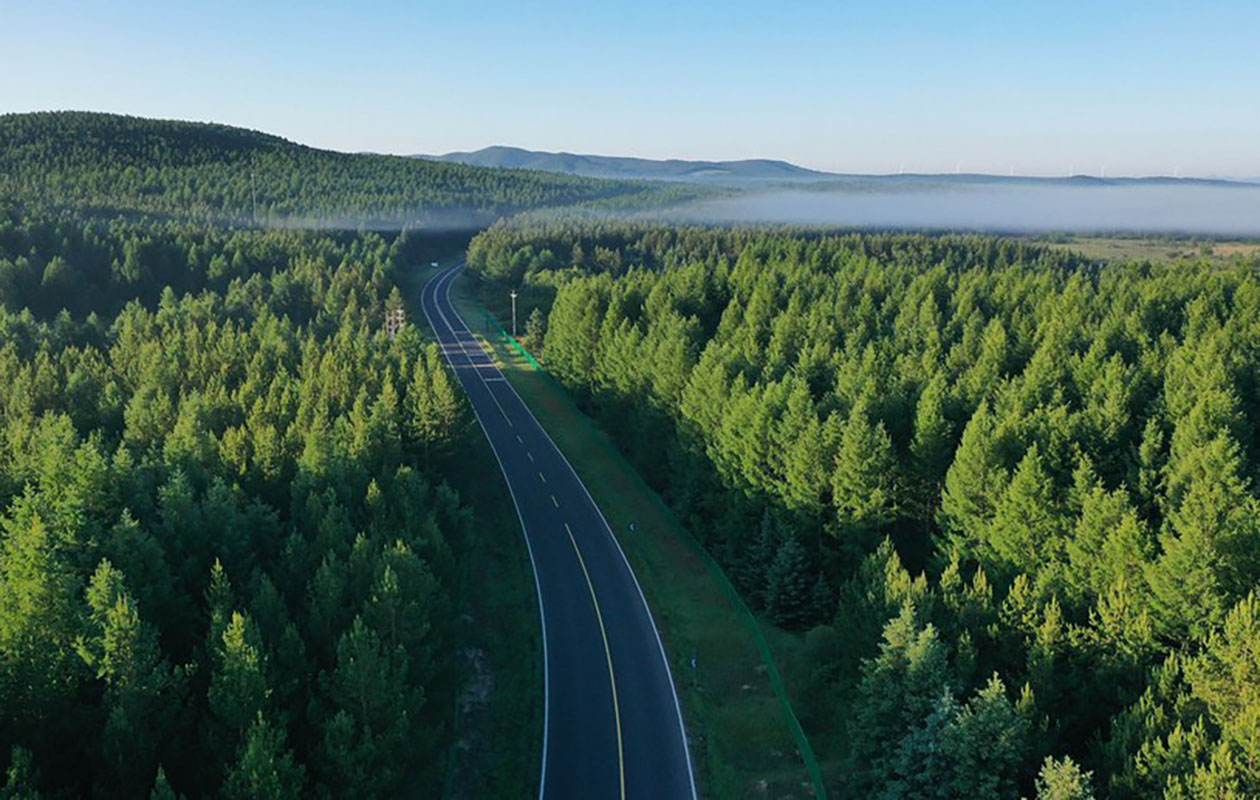 China honra seu compromisso de buscar futuro verde