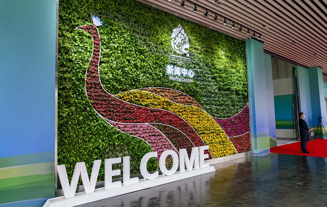 Foto tirada em 9 de outubro de 2021 mostra a entrada do centro de mdia da 15 reunio da Conferncia das Partes da Conveno da ONU sobre Diversidade Biolgica (COP15) em Kunming, Provncia de Yunnan, no sudoeste da China. 