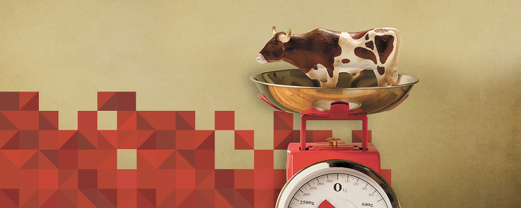 Do pasto ao prato: subsídios e pegada ambiental da carne bovina Do pasto ao prato: subsídios e pegada ambiental da carne bovina